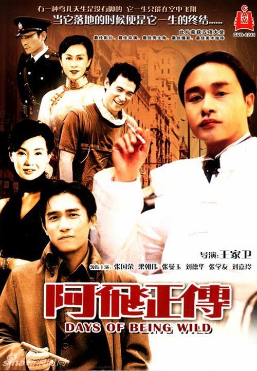 加那利大学经济学文凭证书
